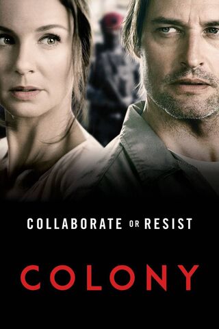 Struggle for Freedom: The Colony Dilemma