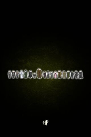 Magical Gatherings: The Iconic Cast of HP