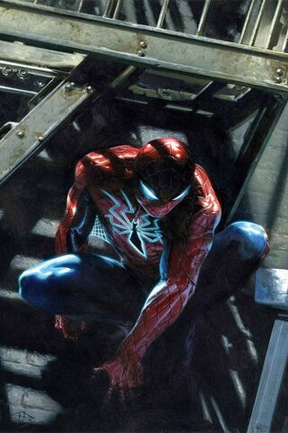 Web-Slinger in Action! 🕷️✨