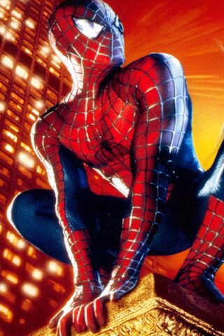 Web-Slinger in Action! 🕷️✨