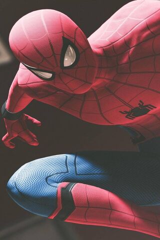 Web-Slinging Adventures Await! 🕷️✨