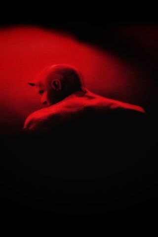 Shadow of the Daredevil 🦸 🔥