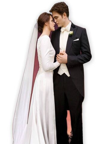Eternal Vows: A Twilight Moment