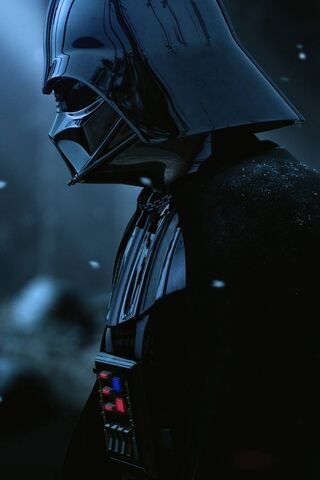 The Dark Side Awaits: D..
