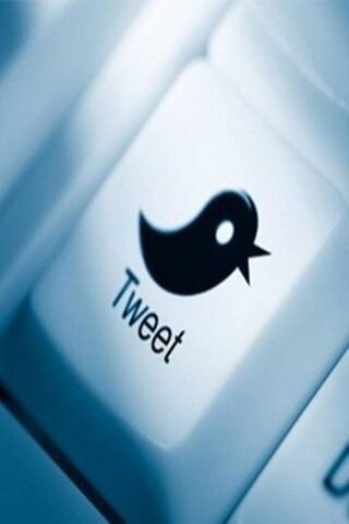 The Power of a Tweet 🐦✨