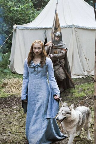 Sansa Stark: A Journey Through the North 🌲🐺