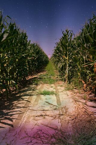 Cory Chase Wallpaper - Download to your mobile from PHONEKY