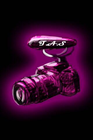 Vibrant Lens: The Art of Photography