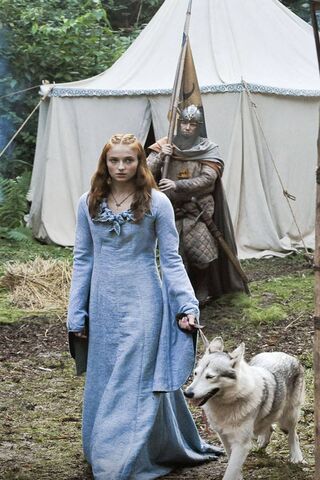Sansa Stark: A Journey Through Winterfell ❄️🐺