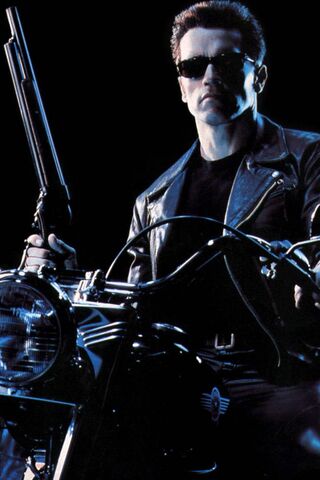 The Iconic Cyborg: A Le..