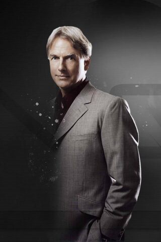 The Resolute Leader: Leroy Jethro Gibbs