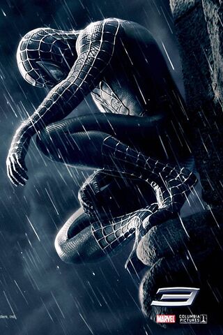 Web-Slinger in the Rain..