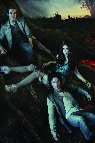 Vampire Diaries 3