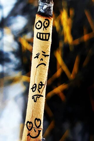 The Spectrum of Feelings 🌈