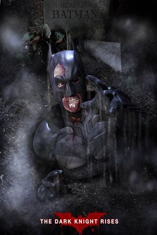 The Fallen Guardian: A Dark Knight's Descent