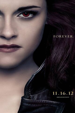 Eternal Shadows: The Twilight Saga