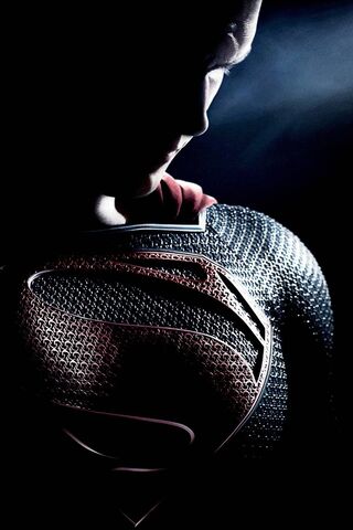 Hero in Shadows: The Ri..