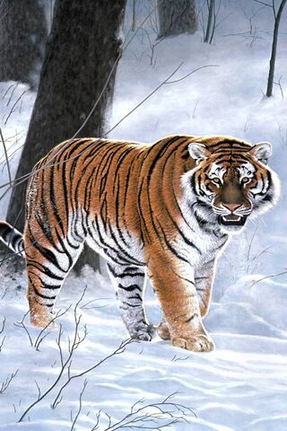 Majestic Stripes: The King of the Jungle 🐅❄️