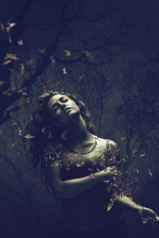 Whispers of Enchantment: Kady's Transformation