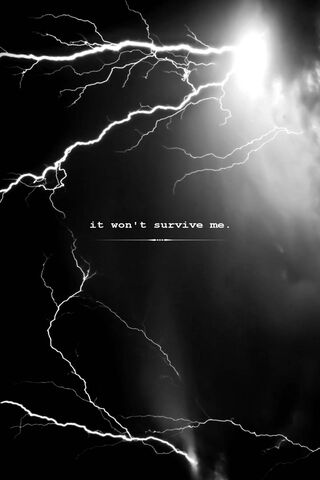 Raven's Storm: Unyielding Spirit 🌩️