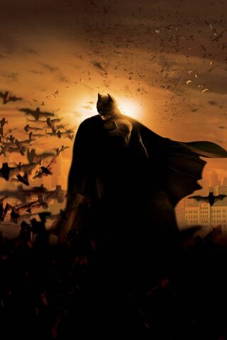 The Dark Knight Rises: A Hero's Dawn 🌅🦇
