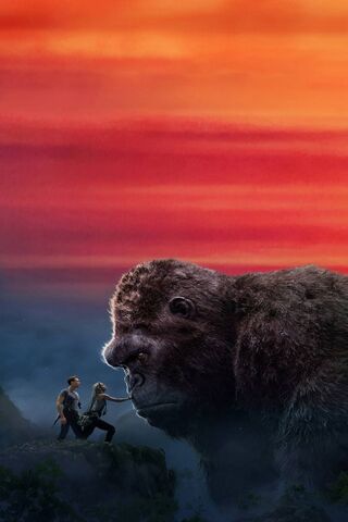 A Giant Encounter at Dusk 🌅🦍