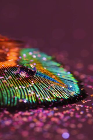 Sparkling Elegance: The Enchanted Feather