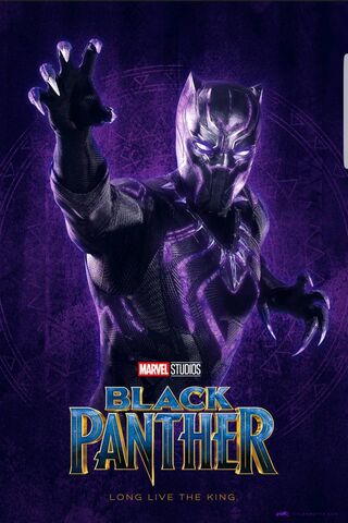 The Legacy of Wakanda: Rise of the Black Panther 🐾✨