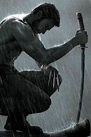 Wolverine: The Relentle..