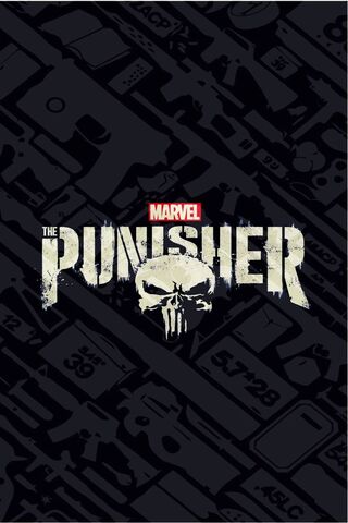 The Punisher 1