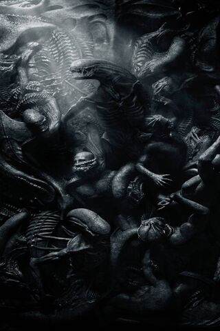 Dark Descent: The Alien Legacy