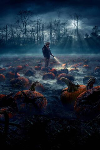 Stranger