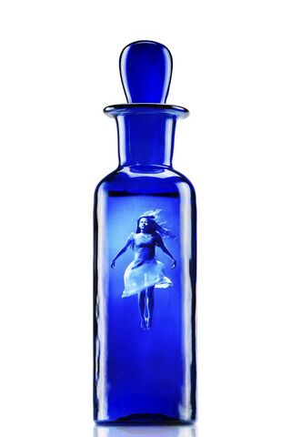 Elixir of Serenity: A Journey to Wellness 🌊✨