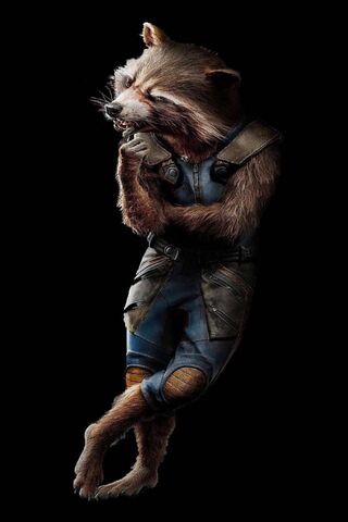 Rocket Racoon