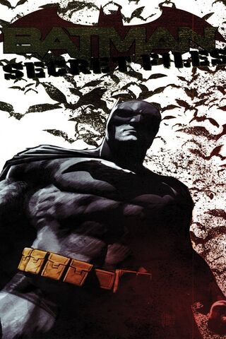 Batman Secret Files