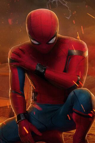 Web-Slinger in Action! ..