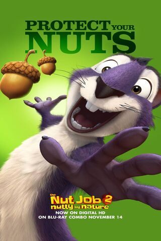 Squirrel Shenanigans: A Nutty Adventure! 🐿️🌰