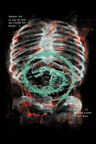 Mysteries of the Cosmic Anatomy 🌌👽