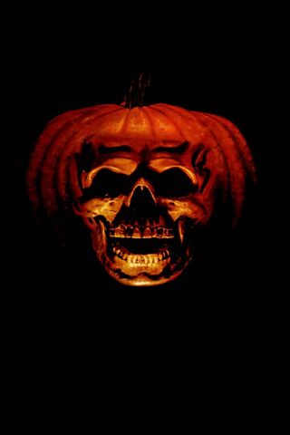 Spooky Pumpkin Skull: A Halloween Delight 🎃💀