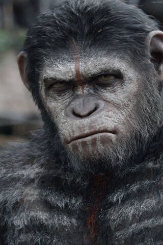 Rise of the Intelligent Beasts 🌍🦧