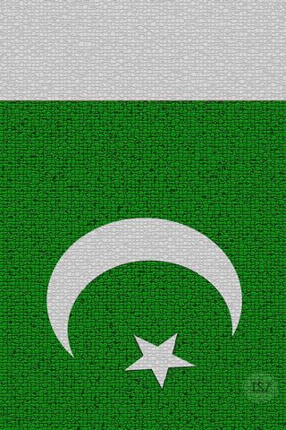 Symbol of Unity: The Pakistan Flag 🇵🇰
