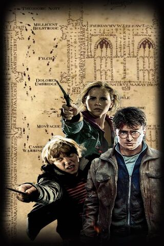 The Trio's Magical Adve..