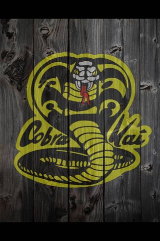Cobra kai wallpaper by Santhush  Download on ZEDGE  62a0