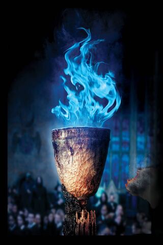 Mystical Flames of Destiny 🔥✨