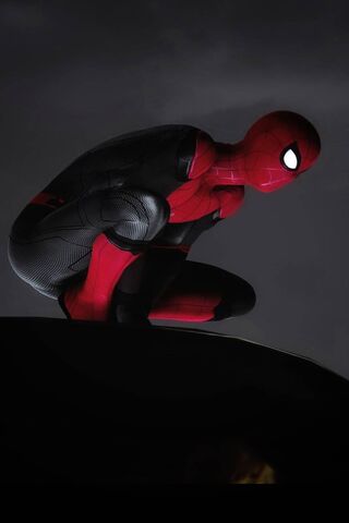 The Web-Slinger in Action! 🕷️✨