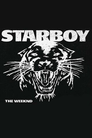 Roaring into Stardom: Starboy 🐾✨