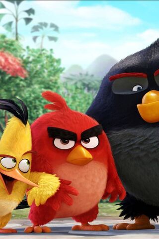 Feathered Friends Unite! 🐦💥