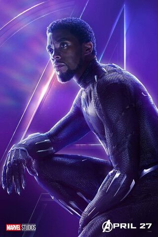 The King of Wakanda Rises 🌌👑