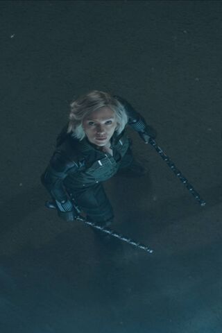 Phoneky ブラックウィドウ Hd壁紙