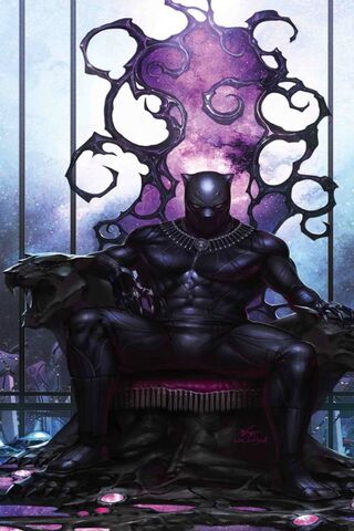 The Royal Guardian of Wakanda 🐾👑